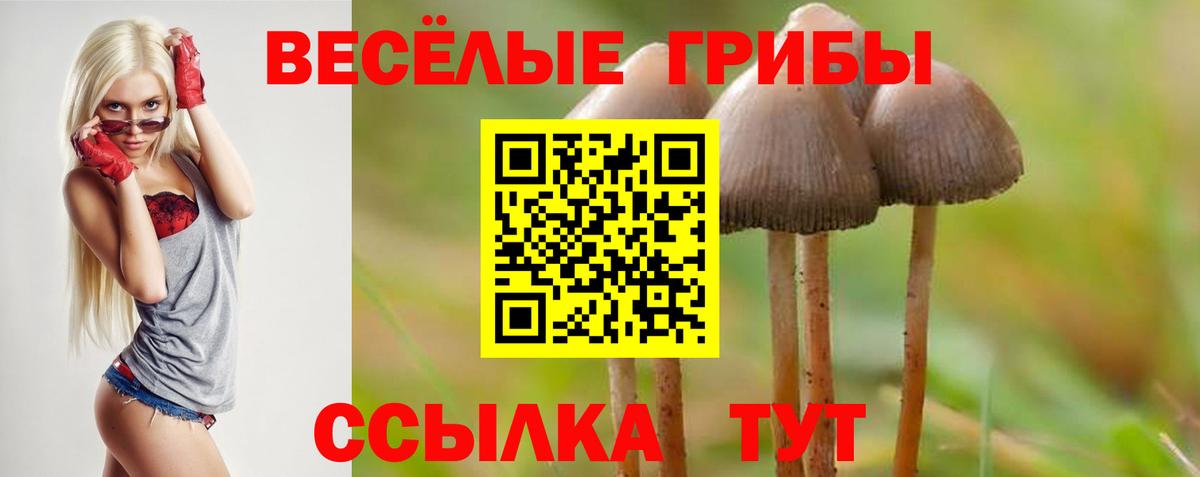 Галлюциногенные грибы мухоморы Великий Устюг
